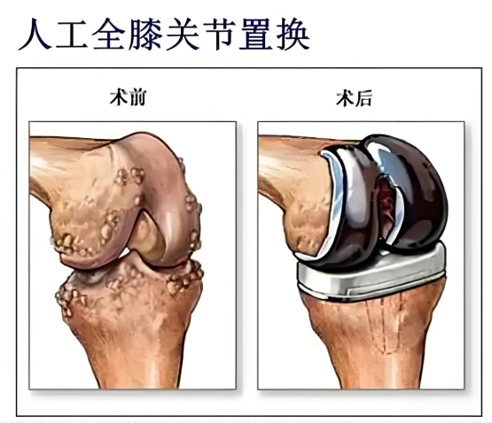 QQ浏览器截图20240912110624.png